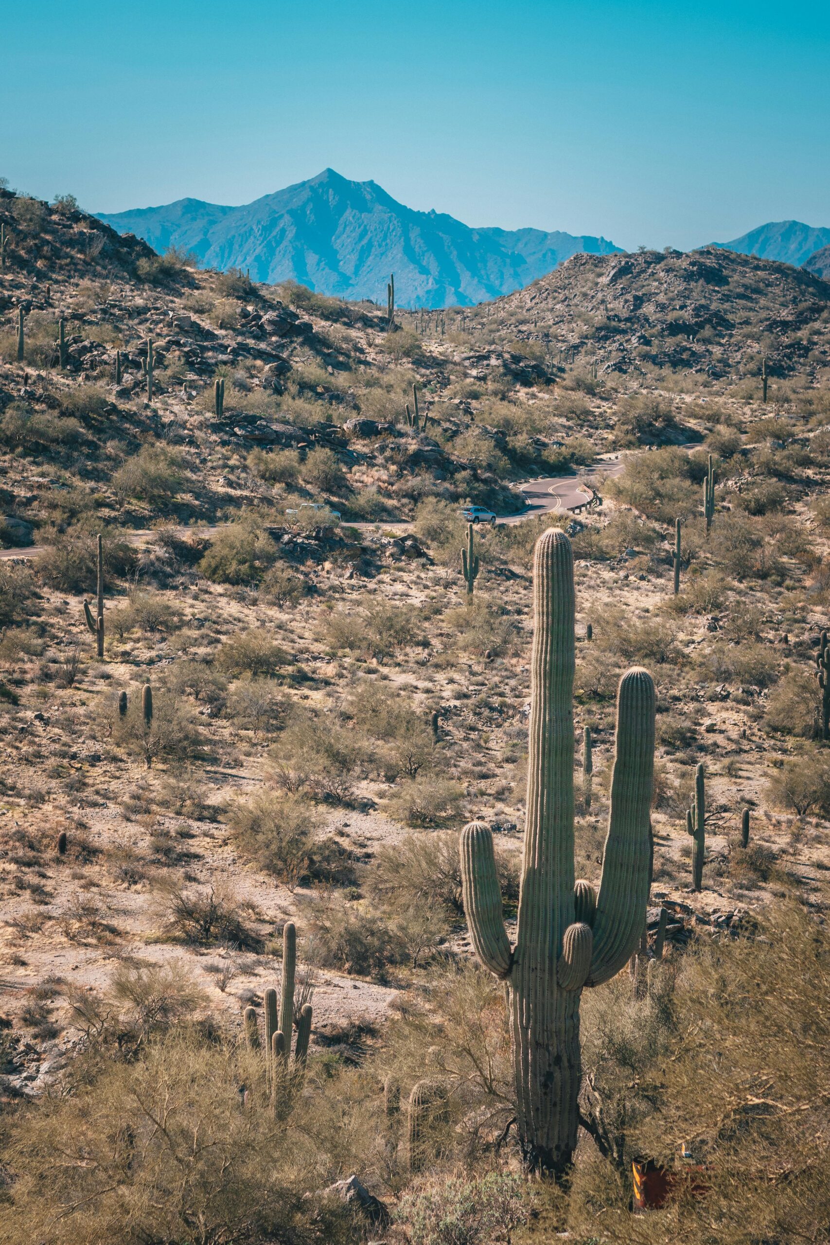 Source : Pexels, Justin Nealey