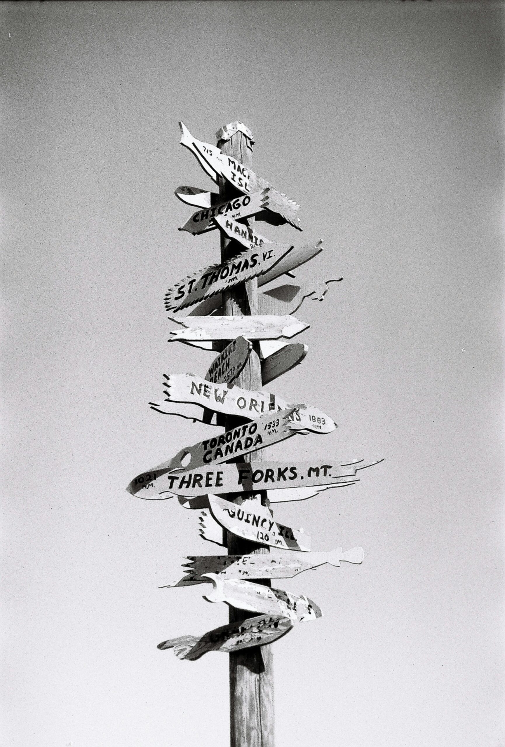 Source : Pexels, Borre