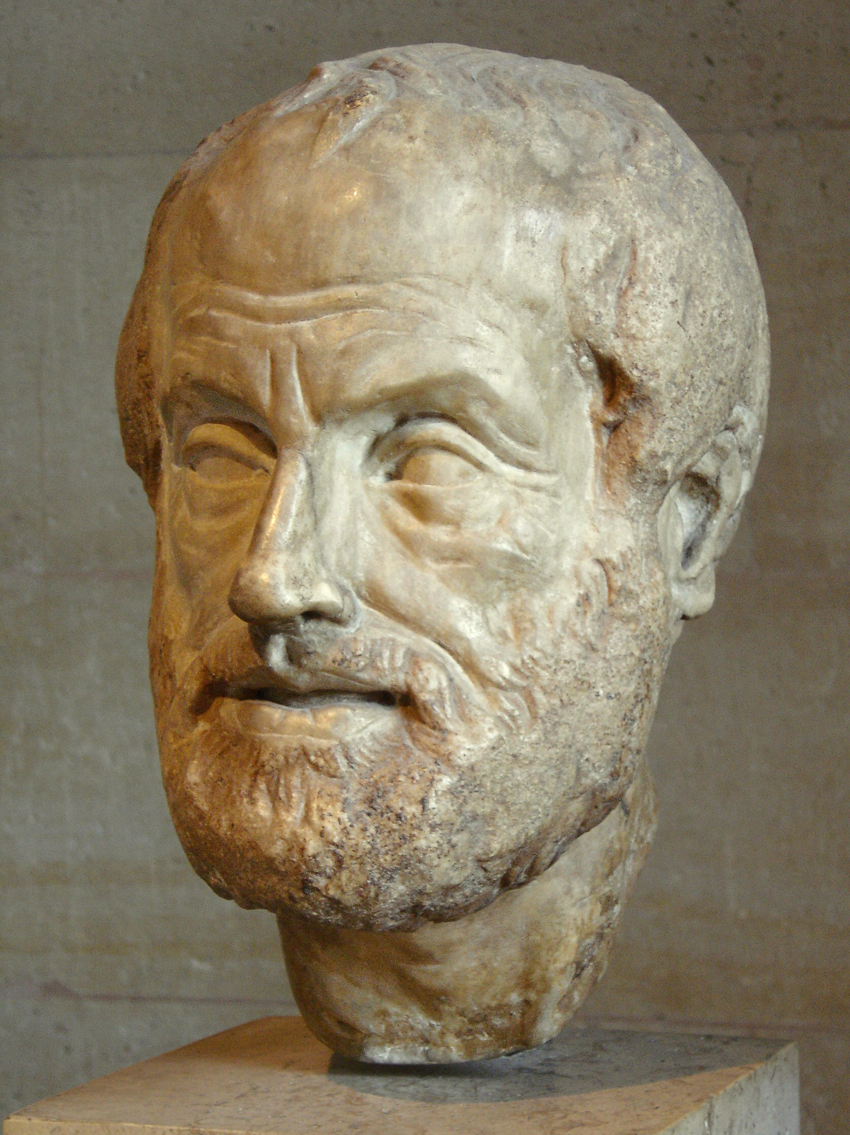 Aristote, via Wikimedia Commons